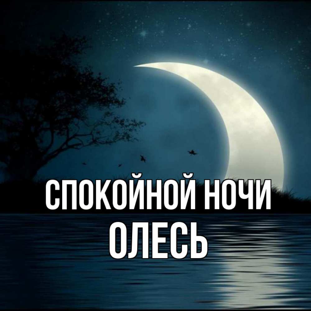 Открытка на каждый день с именем, Олесь Спокойной ночи вода Прикольная открытка с пожеланием онлайн скачать бесплатно 