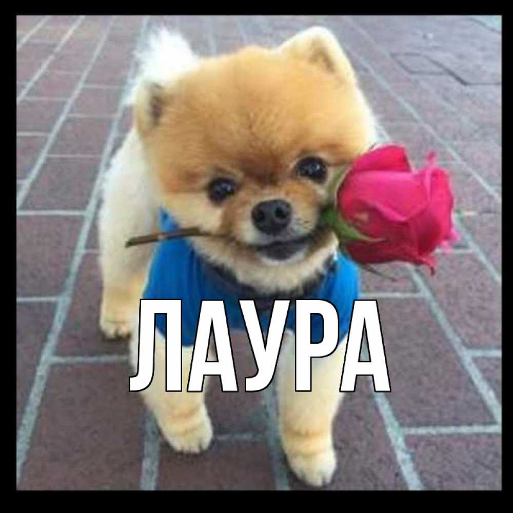 Картинка  с именем , Лаура