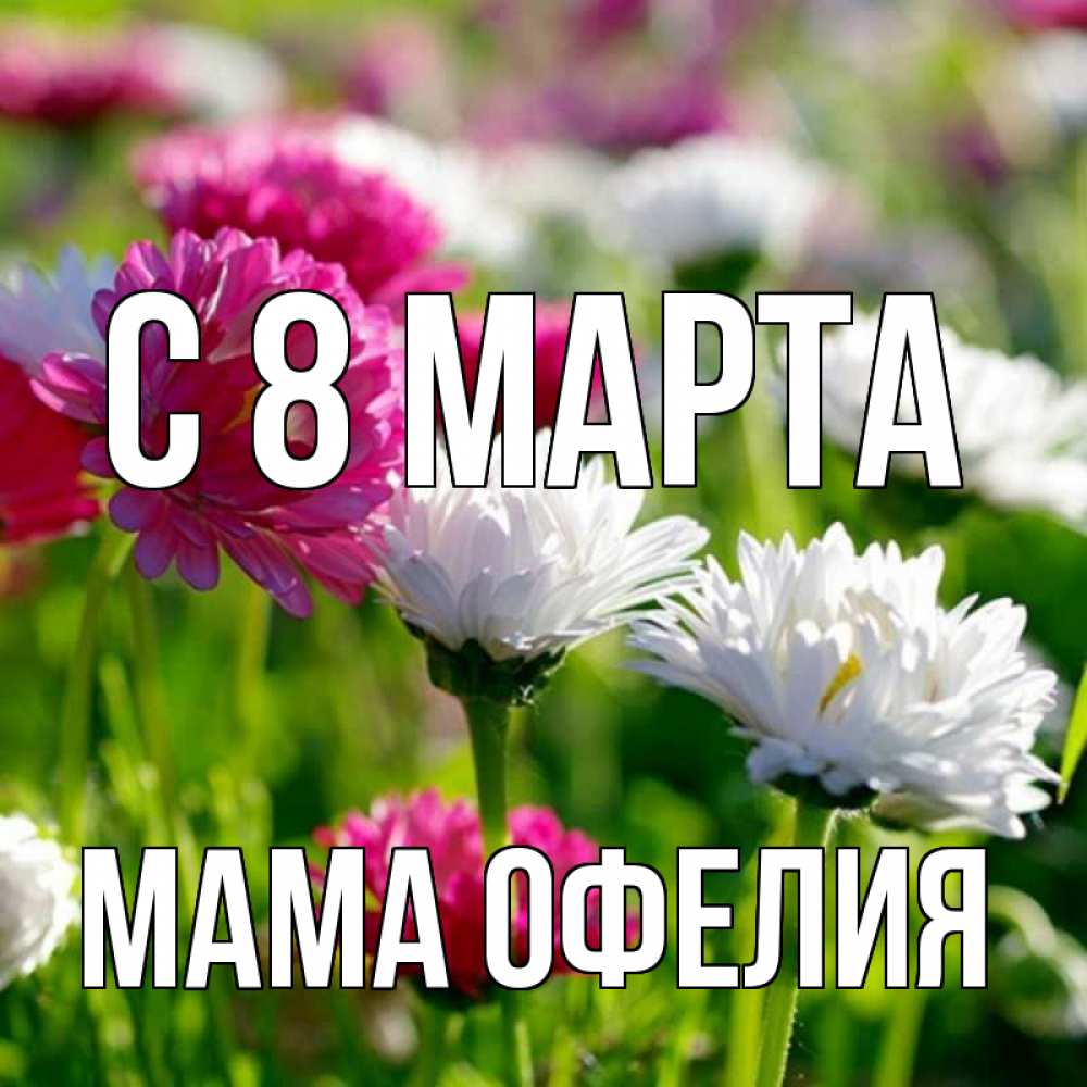 Открытка на каждый день с именем, Мама-Офелия С 8 марта международный женский день 1 Прикольная открытка с пожеланием онлайн скачать бесплатно 