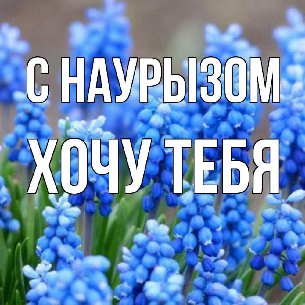 Картинка С наурызом, Хочу тебя