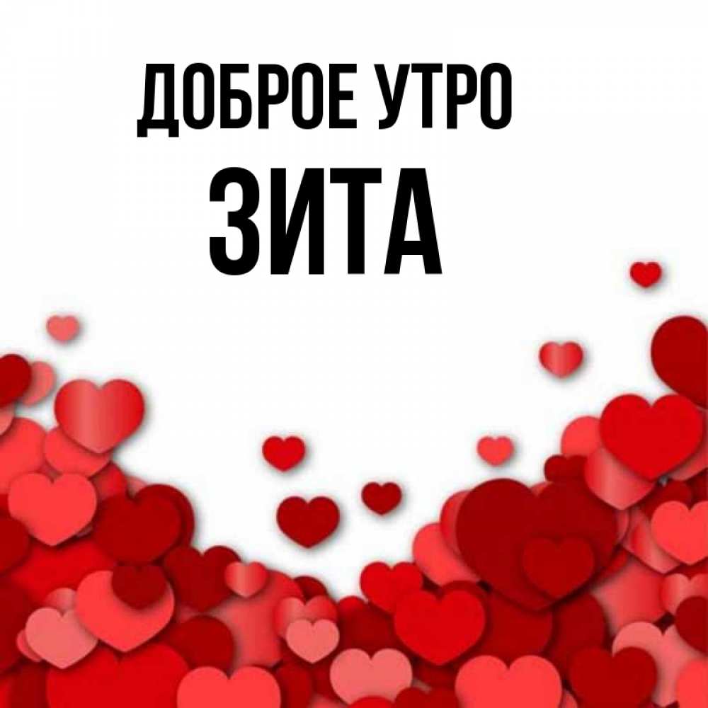 Открытка на каждый день с именем, Зита Доброе утро хорошего настроения Прикольная открытка с пожеланием онлайн скачать бесплатно 