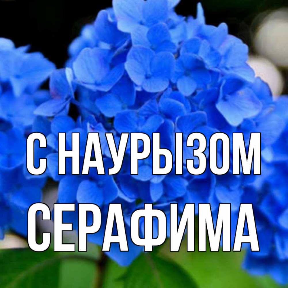 Открытка на каждый день с именем, Серафима С наурызом синие цветы Прикольная открытка с пожеланием онлайн скачать бесплатно 