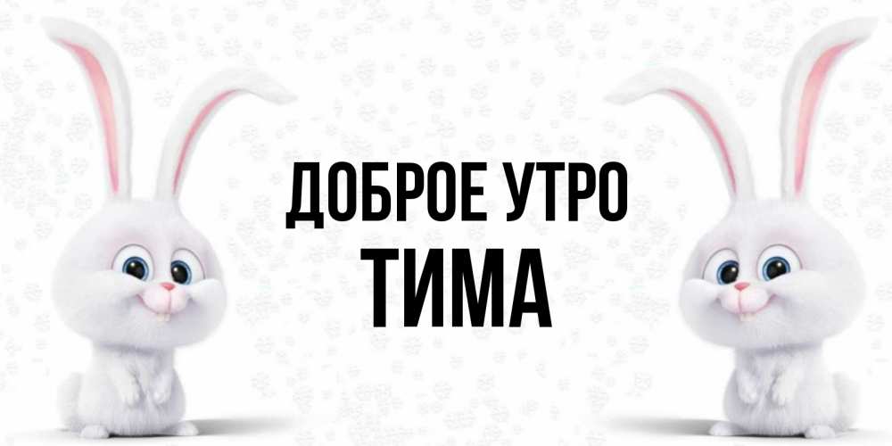 Доброе утро вася картинки