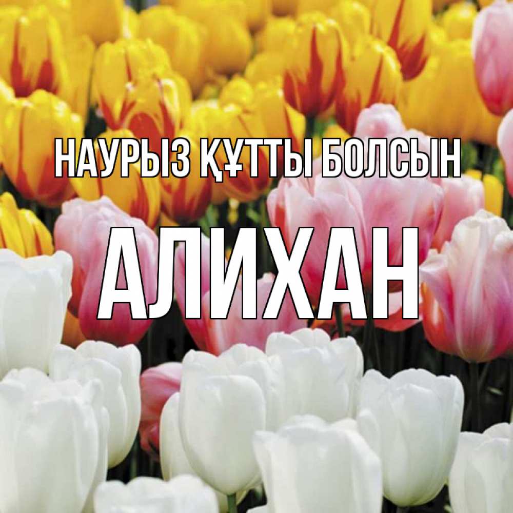 Открытка на каждый день с именем, Алихан Наурыз құтты болсын разноцветные цветы Прикольная открытка с пожеланием онлайн скачать бесплатно 