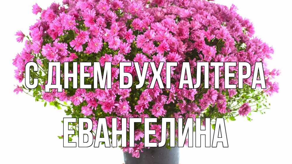 Открытка на каждый день с именем, Евангелина С днем бухгалтера с днем бухгалтера Прикольная открытка с пожеланием онлайн скачать бесплатно 