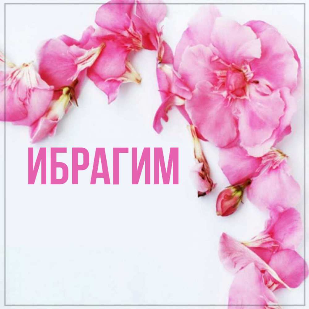 Открытка на каждый день с именем, Ибрагим Главная Красивая открытка для поздравления с днем рождения Прикольная открытка с пожеланием онлайн скачать бесплатно 