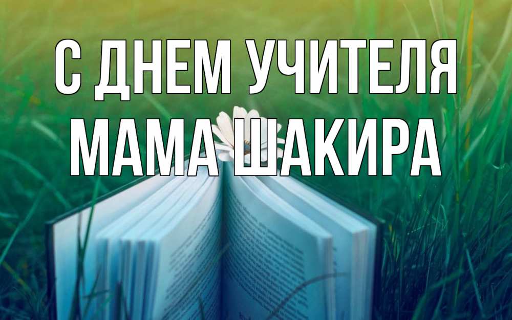 Открытка на каждый день с именем, Мама-Шакира С днем учителя с днем учителя Прикольная открытка с пожеланием онлайн скачать бесплатно 