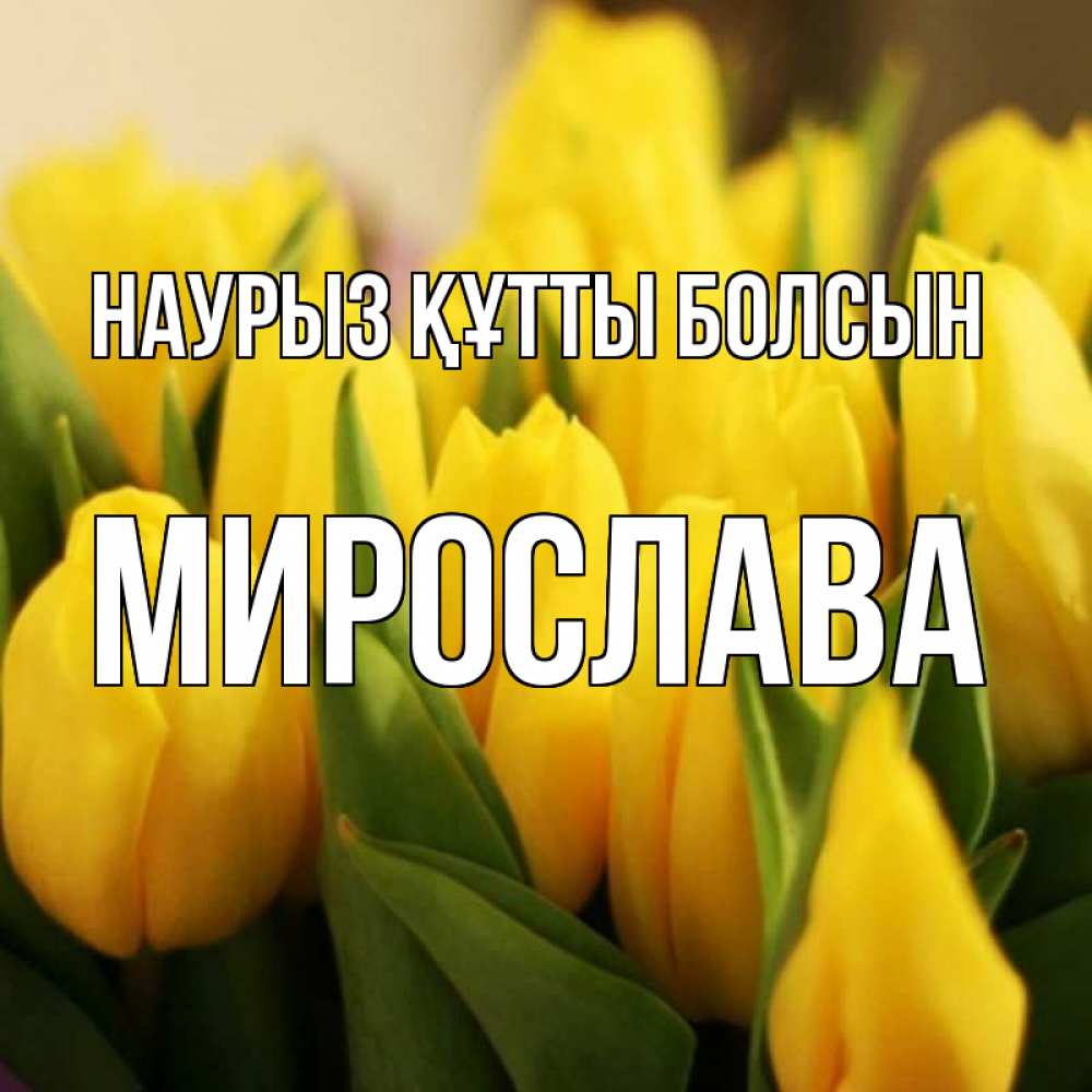 Открытка на каждый день с именем, Мирослава Наурыз құтты болсын цветы Прикольная открытка с пожеланием онлайн скачать бесплатно 