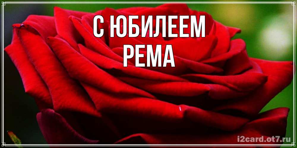 Открытка на каждый день с именем, Рема С юбилеем розочка очень красивая Прикольная открытка с пожеланием онлайн скачать бесплатно 