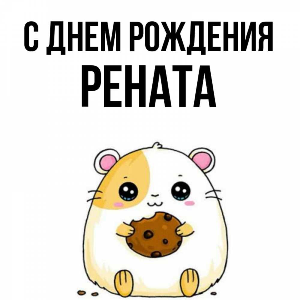 Открытка на каждый день с именем, Рената С днем рождения с днюхой Прикольная открытка с пожеланием онлайн скачать бесплатно 