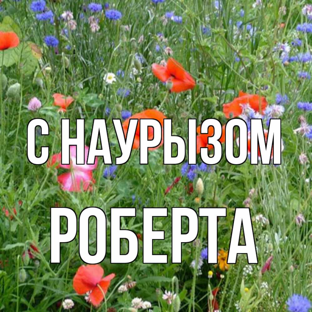 Открытка на каждый день с именем, Роберта С наурызом праздник весны наурыз супер открытка Прикольная открытка с пожеланием онлайн скачать бесплатно 