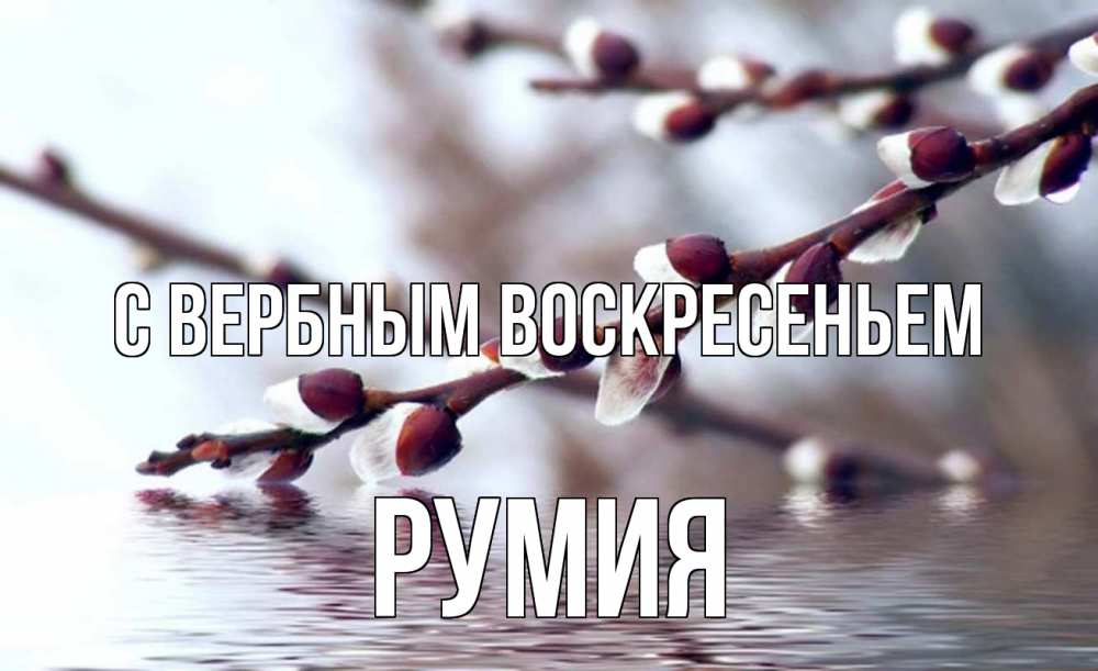 Открытка на каждый день с именем, Румия С вербным воскресеньем верба, ручей Прикольная открытка с пожеланием онлайн скачать бесплатно 