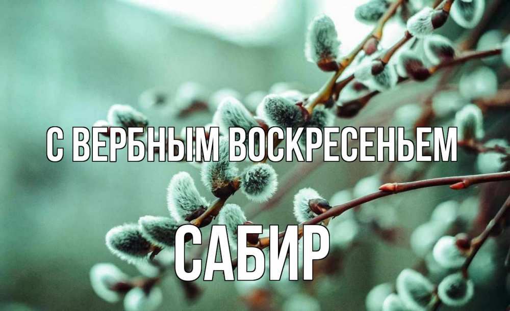 Открытка на каждый день с именем, Сабир С вербным воскресеньем верба Прикольная открытка с пожеланием онлайн скачать бесплатно 