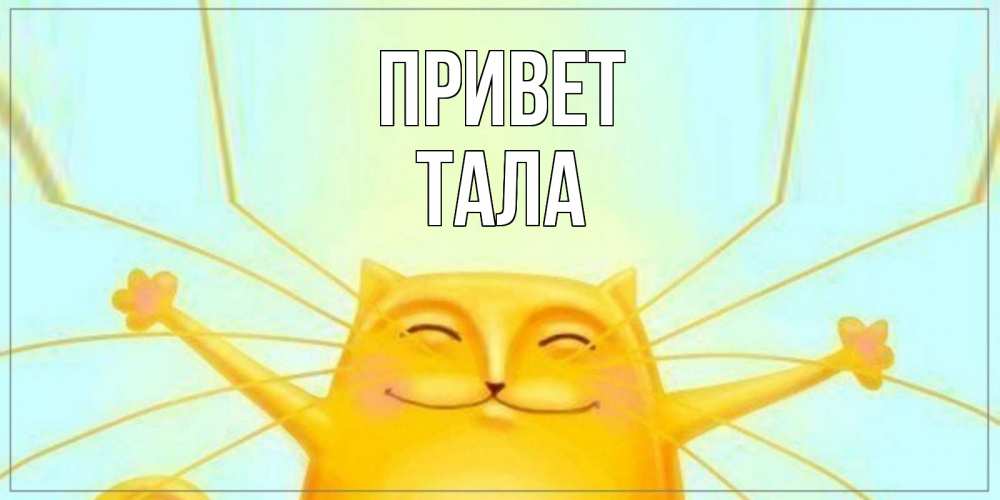 Открытка на каждый день с именем, Тала Привет кот Прикольная открытка с пожеланием онлайн скачать бесплатно 