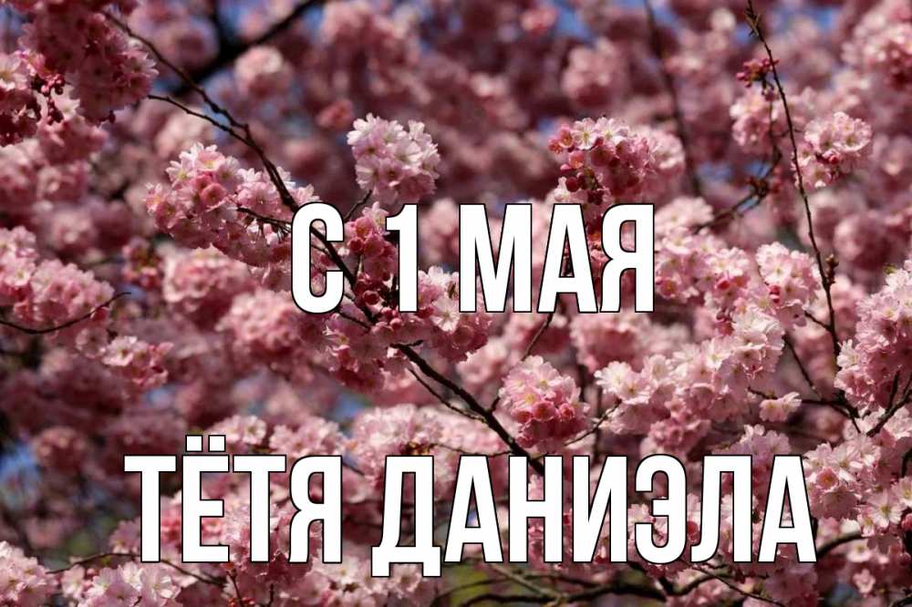 Открытка на каждый день с именем, Тётя-Даниэла С 1 мая С 1 мая Прикольная открытка с пожеланием онлайн скачать бесплатно 