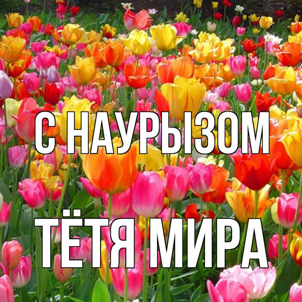 Открытка на каждый день с именем, Тётя-Мира С наурызом праздник весны наурыз 4 Прикольная открытка с пожеланием онлайн скачать бесплатно 