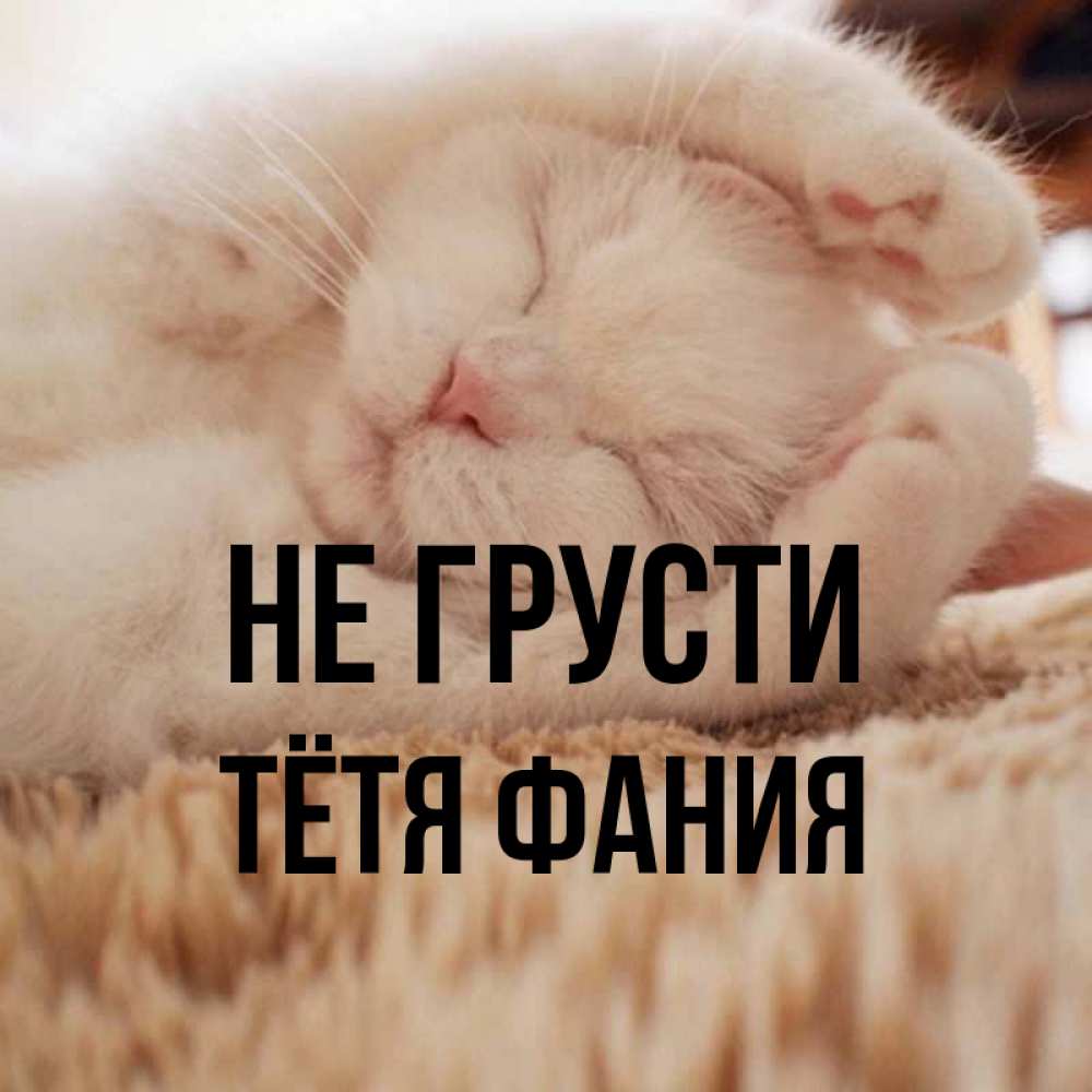 Открытка на каждый день с именем, Тётя-Фания Не грусти Котенок спит Прикольная открытка с пожеланием онлайн скачать бесплатно 