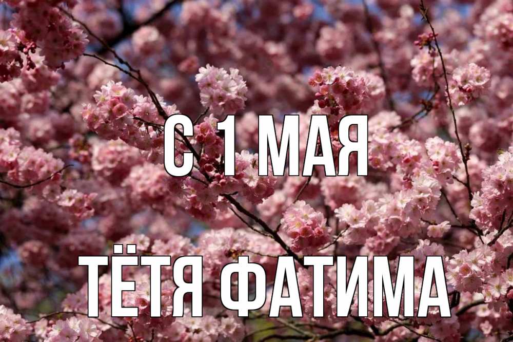 Открытка на каждый день с именем, Тётя-Фатима С 1 мая С 1 мая Прикольная открытка с пожеланием онлайн скачать бесплатно 