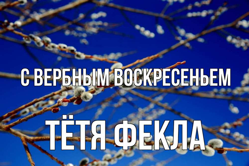 Открытка на каждый день с именем, Тётя-Фекла С вербным воскресеньем верба Прикольная открытка с пожеланием онлайн скачать бесплатно 