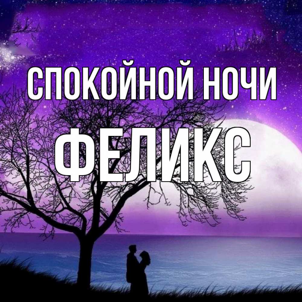 Открытка на каждый день с именем, Феликс Спокойной ночи огромная луна и парочка Прикольная открытка с пожеланием онлайн скачать бесплатно 