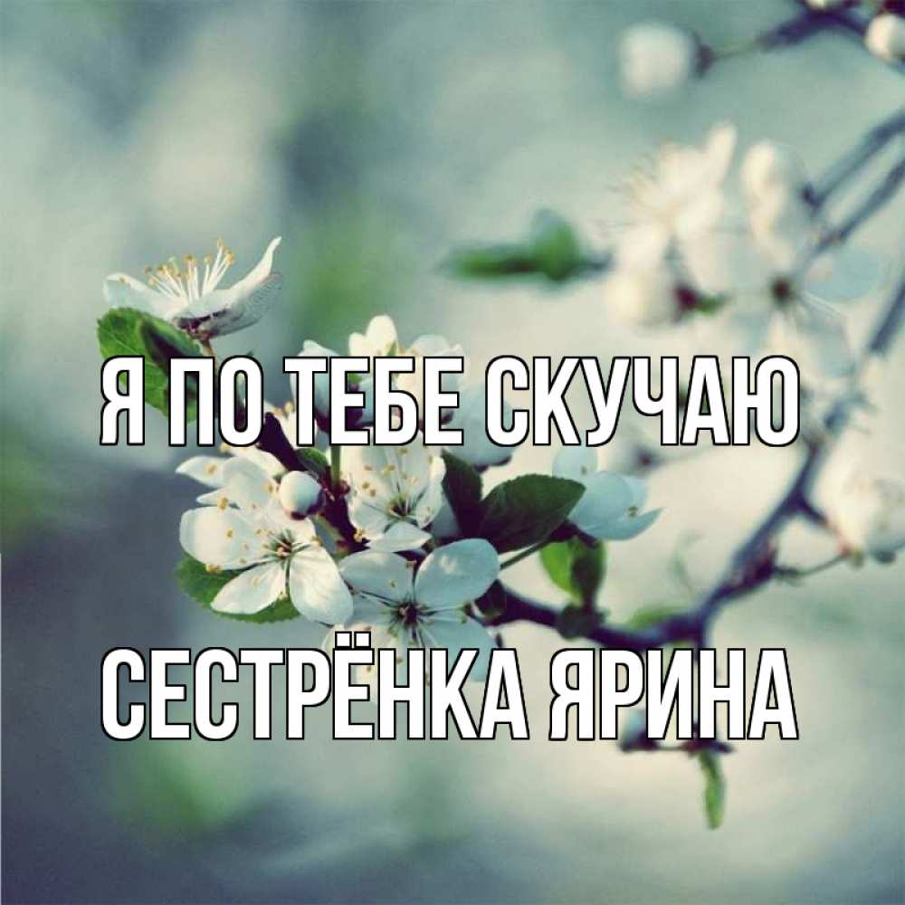 Открытка на каждый день с именем, Сестрёнка-Ярина Я по тебе скучаю весна Прикольная открытка с пожеланием онлайн скачать бесплатно 