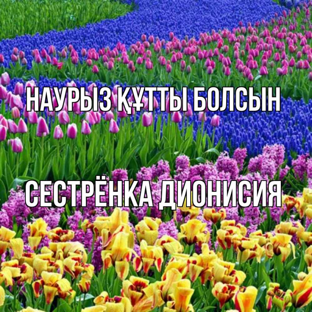 Открытка на каждый день с именем, Сестрёнка-Дионисия Наурыз құтты болсын цветы Прикольная открытка с пожеланием онлайн скачать бесплатно 
