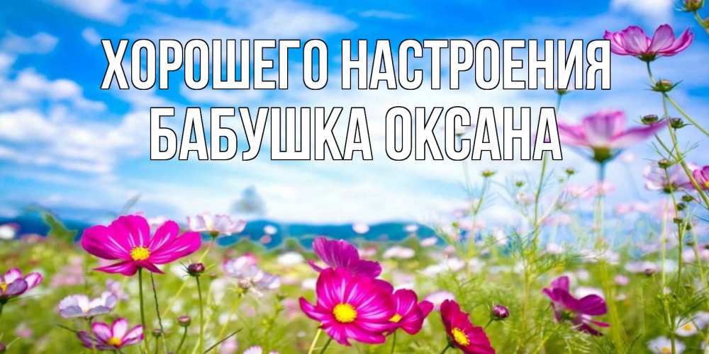 Открытка на каждый день с именем, Бабушка-Оксана Хорошего настроения поле цветов Прикольная открытка с пожеланием онлайн скачать бесплатно 