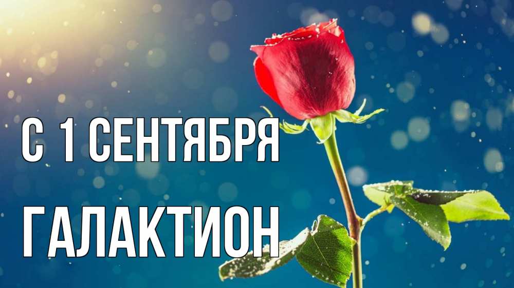 Открытка на каждый день с именем, Галактион С 1 сентября с днем знаний Прикольная открытка с пожеланием онлайн скачать бесплатно 