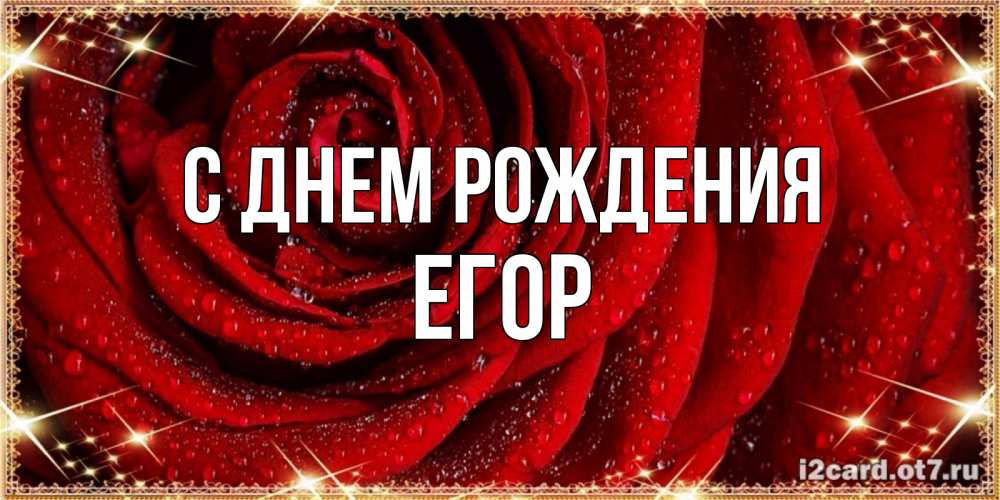 Открытка на каждый день с именем, Егор С днем рождения роса на розе блестящая в лучах солнца Прикольная открытка с пожеланием онлайн скачать бесплатно 
