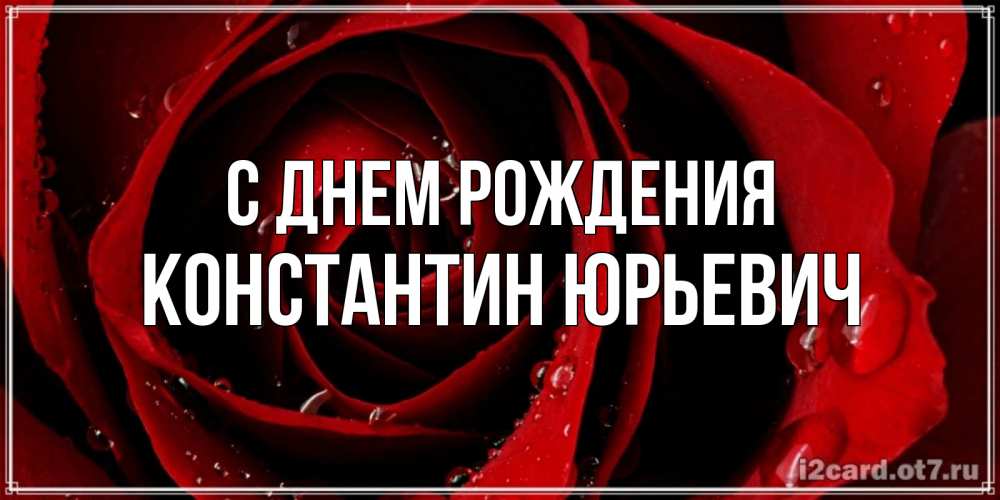 Открытка на каждый день с именем, Константин-Юрьевич С днем рождения крупная бордовая роза Прикольная открытка с пожеланием онлайн скачать бесплатно 