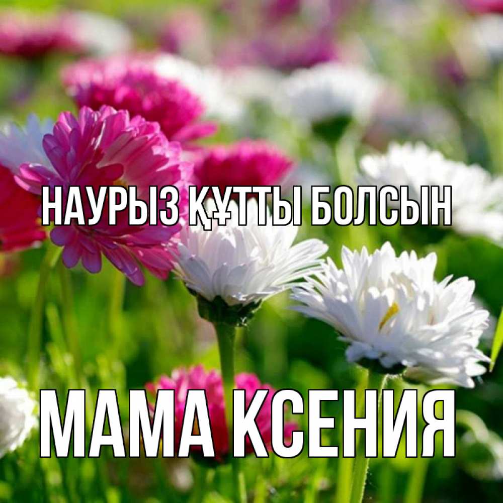 Открытка на каждый день с именем, Мама-Ксения Наурыз құтты болсын наурыз Прикольная открытка с пожеланием онлайн скачать бесплатно 