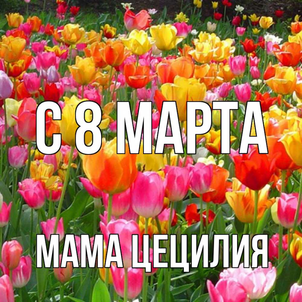 Открытка на каждый день с именем, Мама-Цецилия С 8 МАРТА на международный женский день Прикольная открытка с пожеланием онлайн скачать бесплатно 