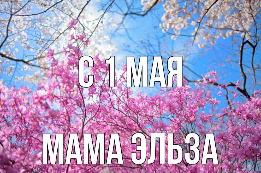 Открытка на каждый день с именем, Мама-Эльза С 1 мая С 1 мая Прикольная открытка с пожеланием онлайн скачать бесплатно 