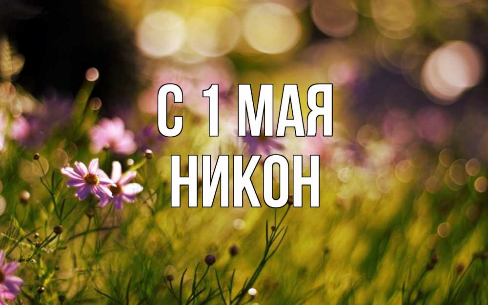 Открытка на каждый день с именем, Никон С 1 мая С 1 мая Прикольная открытка с пожеланием онлайн скачать бесплатно 
