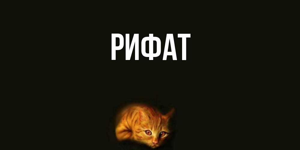 Открытка на каждый день с именем, Рифат Главная кот Прикольная открытка с пожеланием онлайн скачать бесплатно 
