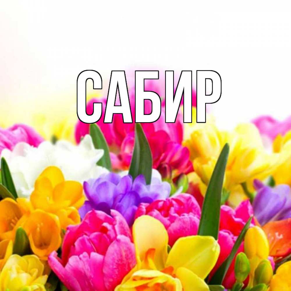 Открытка на каждый день с именем, Сабир Главная создать открытку со свое подписью Прикольная открытка с пожеланием онлайн скачать бесплатно 