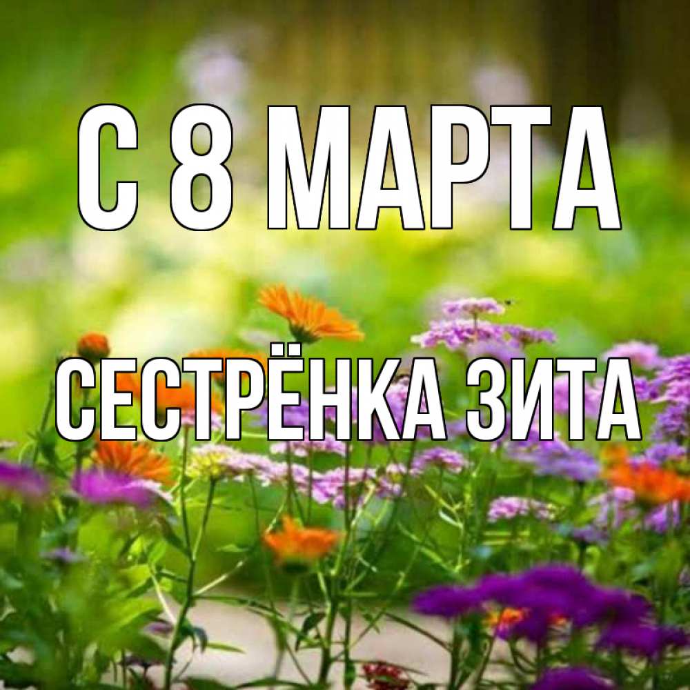 Открытка на каждый день с именем, Сестрёнка-Зита С 8 МАРТА цветы Прикольная открытка с пожеланием онлайн скачать бесплатно 