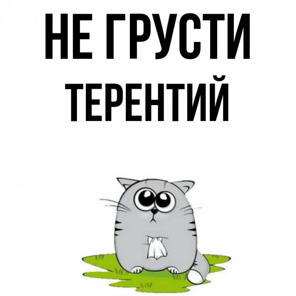 Открытка на каждый день с именем, Терентий Не грусти грустный котяра Прикольная открытка с пожеланием онлайн скачать бесплатно 