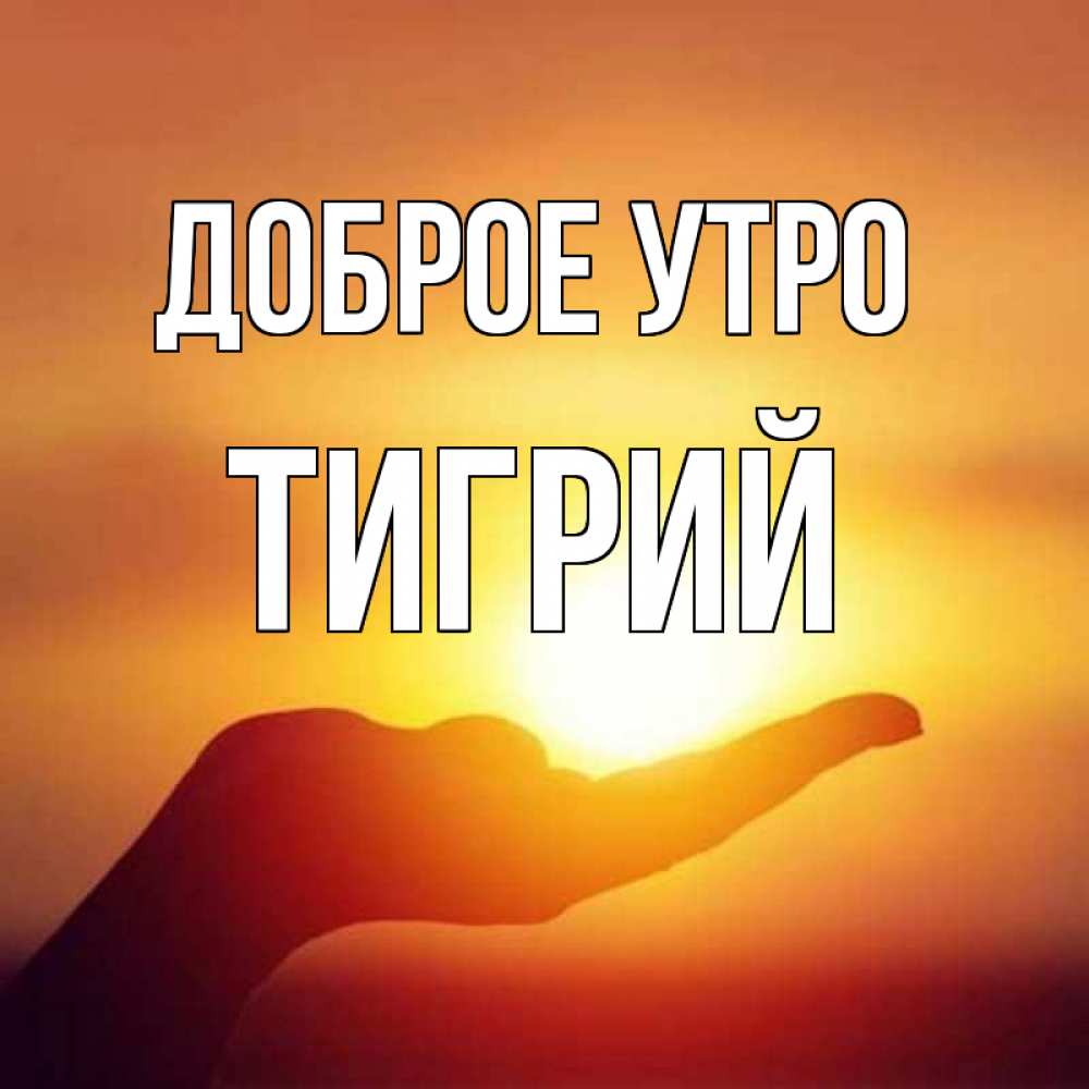 Открытка на каждый день с именем, Тигрий Доброе утро ладошка и закат Прикольная открытка с пожеланием онлайн скачать бесплатно 