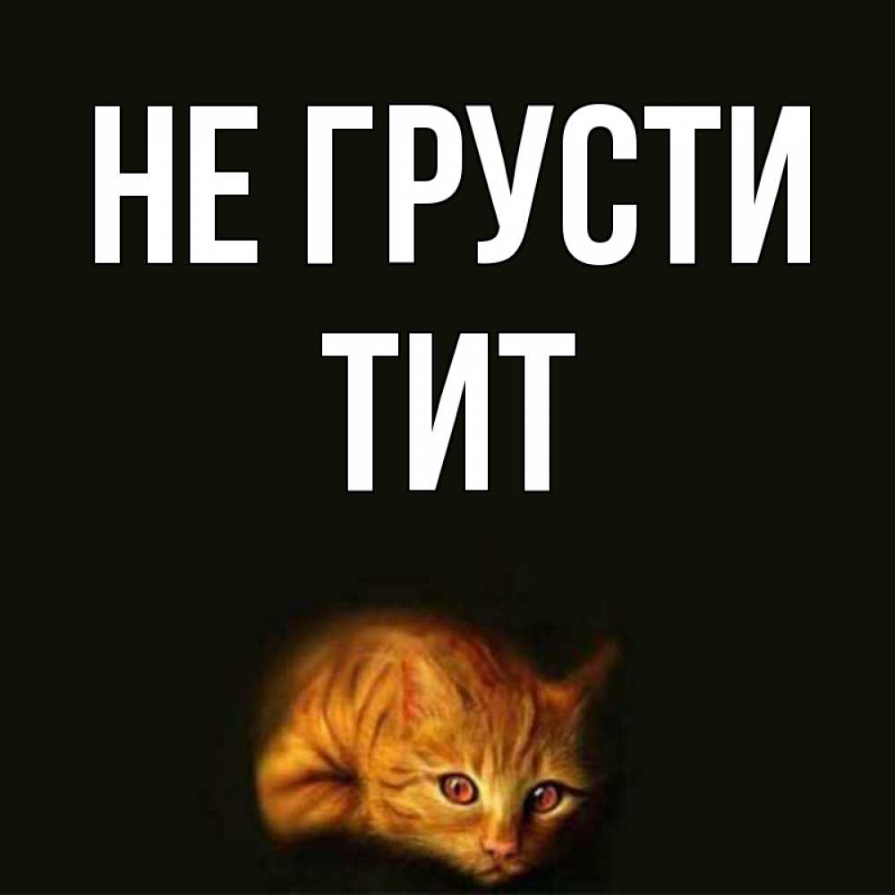 Открытка на каждый день с именем, Тит Не грусти лежащий кот в темноте Прикольная открытка с пожеланием онлайн скачать бесплатно 