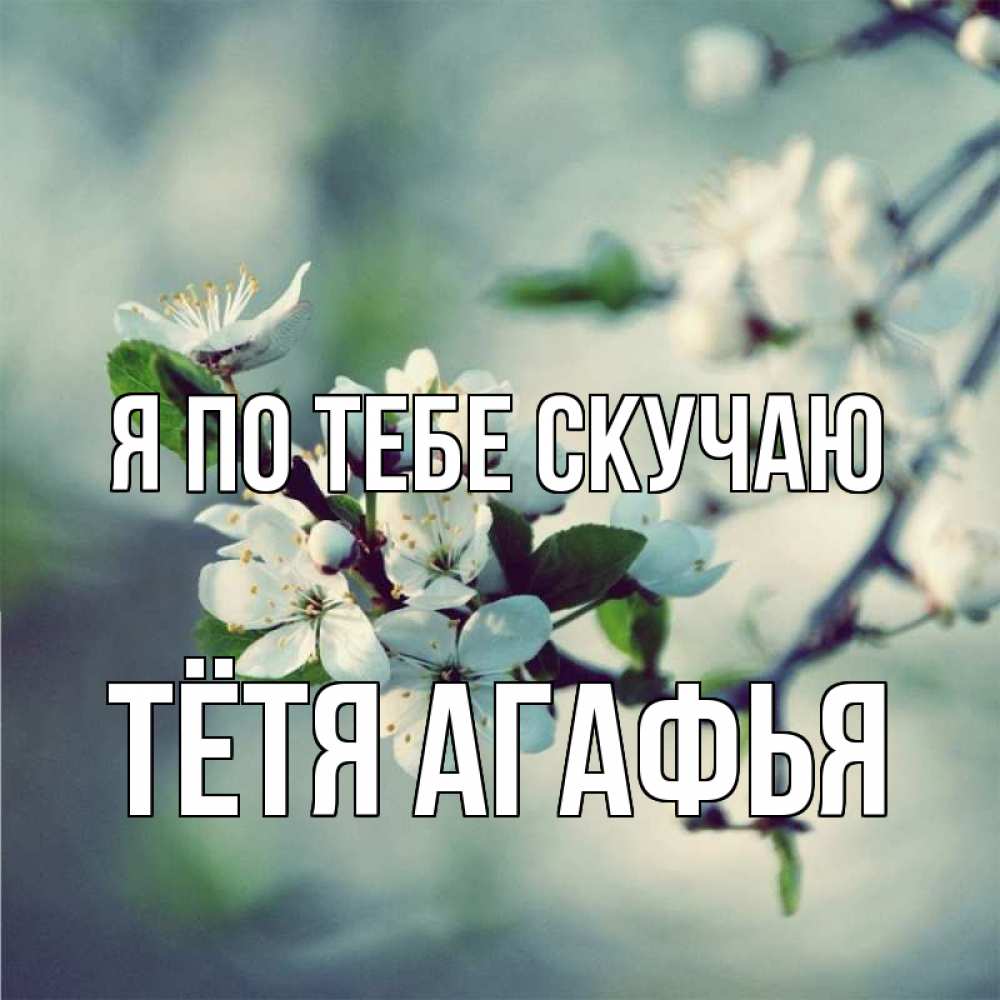 Открытка на каждый день с именем, Тётя-Агафья Я по тебе скучаю весна Прикольная открытка с пожеланием онлайн скачать бесплатно 