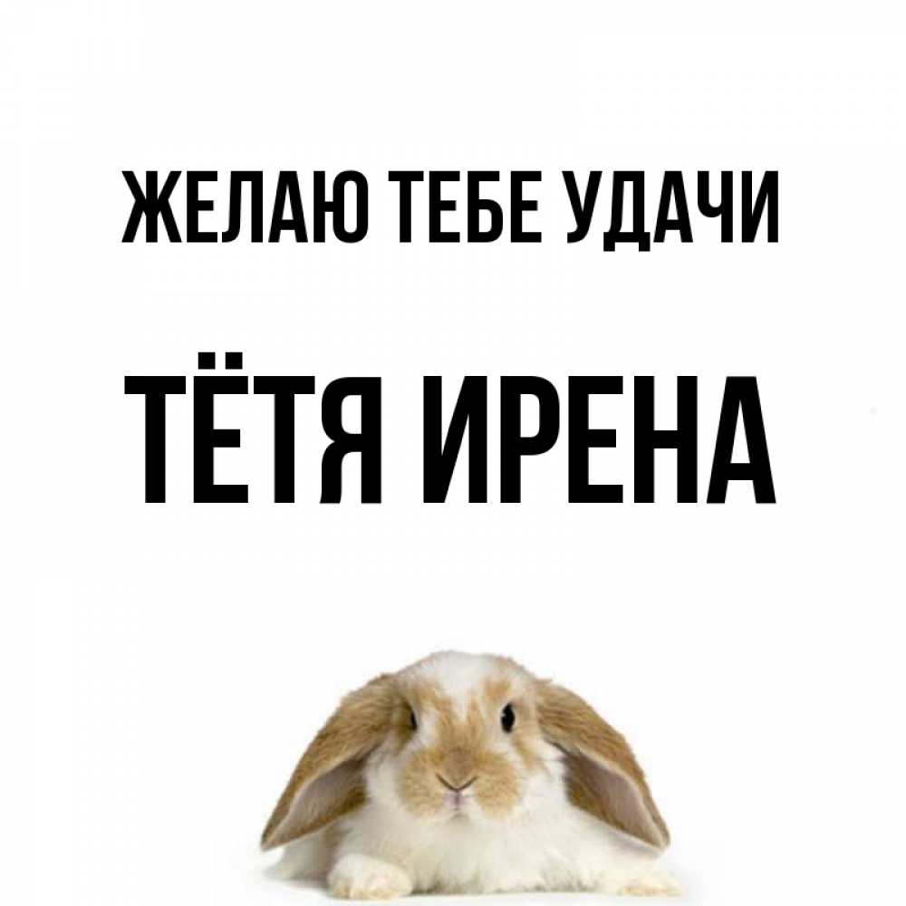 Открытка на каждый день с именем, Тётя-Ирена Желаю тебе удачи открытки с произвольным текстом который можно вставить в открытку и создать ее самостоятельно бесплатно онлайн Прикольная открытка с пожеланием онлайн скачать бесплатно 