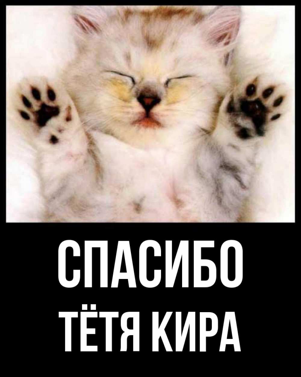 Открытка на каждый день с именем, Тётя-Кира Спасибо маленький котенок Прикольная открытка с пожеланием онлайн скачать бесплатно 