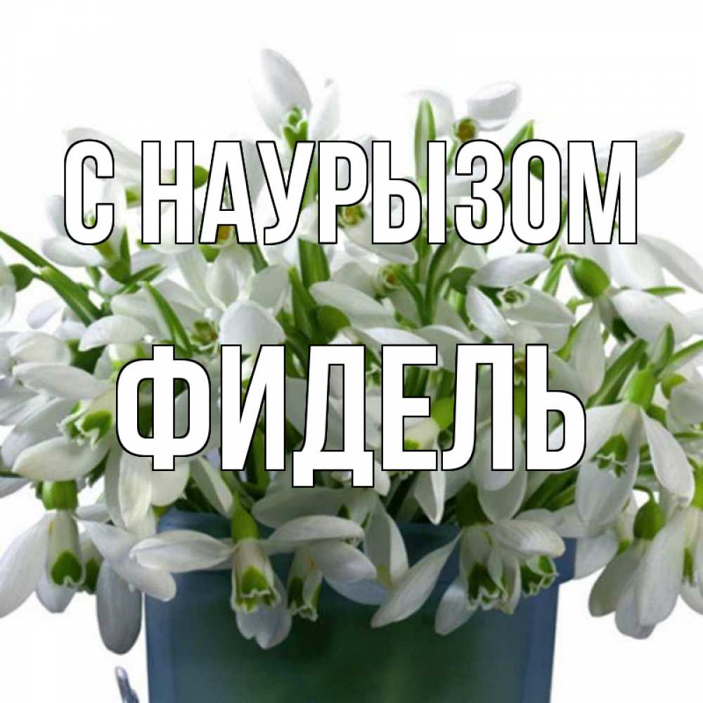 Открытка на каждый день с именем, Фидель С наурызом цветы к наурызу новый год в Казахстане Прикольная открытка с пожеланием онлайн скачать бесплатно 