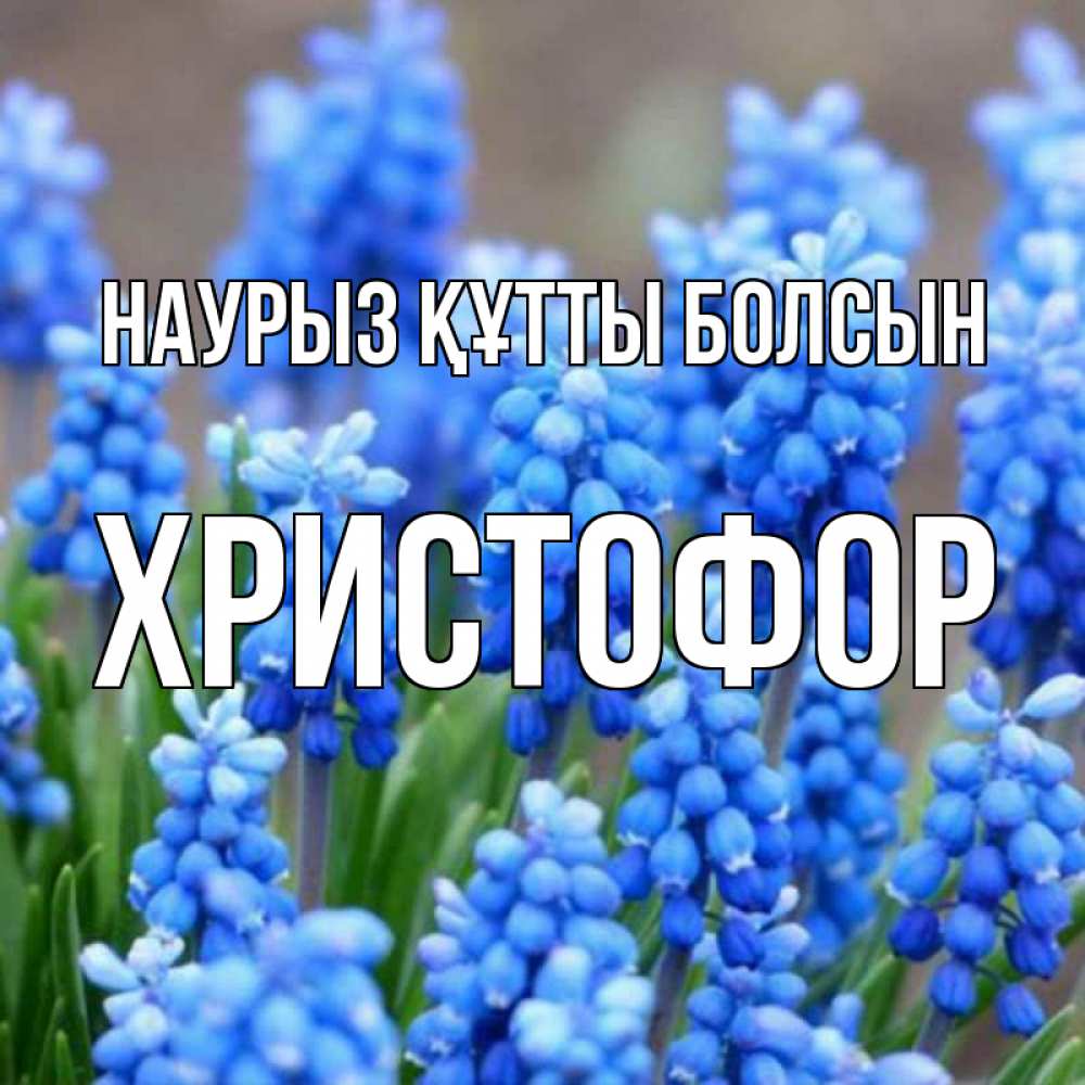Открытка на каждый день с именем, Христофор Наурыз құтты болсын Поздравительная открытка для женщин с цветами на праздничную дату Прикольная открытка с пожеланием онлайн скачать бесплатно 