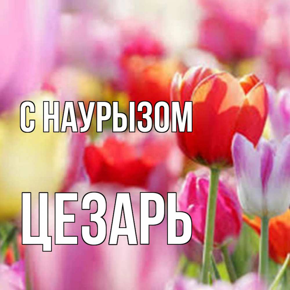Открытка на каждый день с именем, Цезарь С наурызом праздник весны наурыз 67 Прикольная открытка с пожеланием онлайн скачать бесплатно 