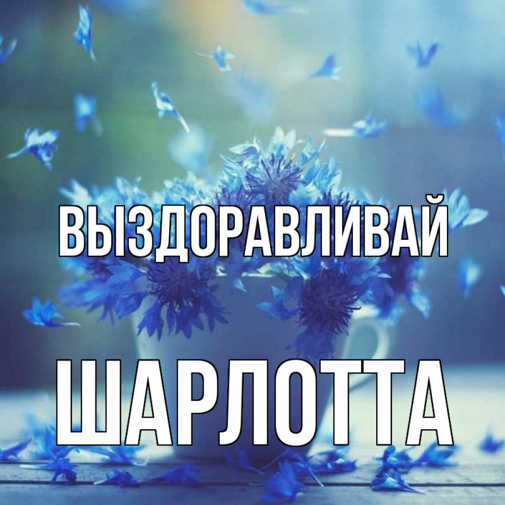Открытка на каждый день с именем, Шарлотта Выздоравливай кружка с зельем и цветами Прикольная открытка с пожеланием онлайн скачать бесплатно 