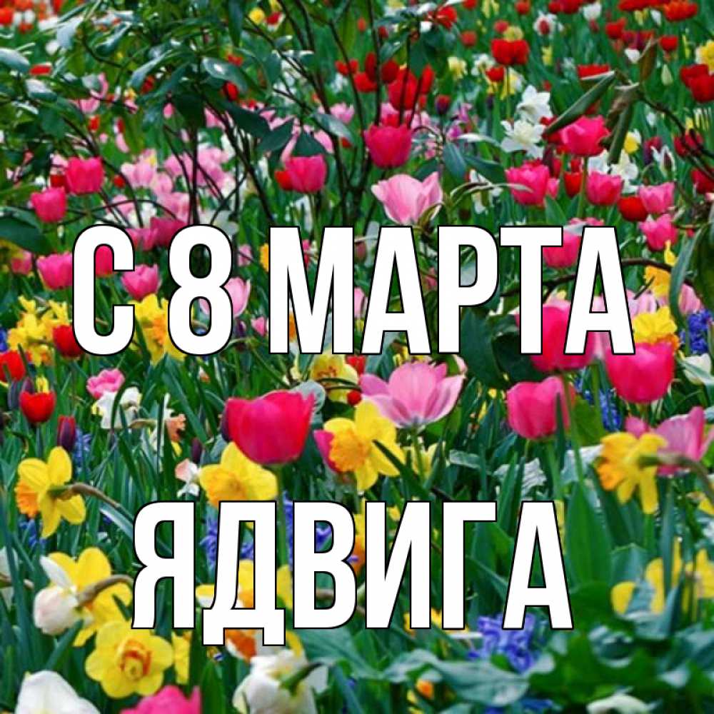 Открытка на каждый день с именем, Ядвига С 8 МАРТА с международным женским днем поздравления для женщины Прикольная открытка с пожеланием онлайн скачать бесплатно 