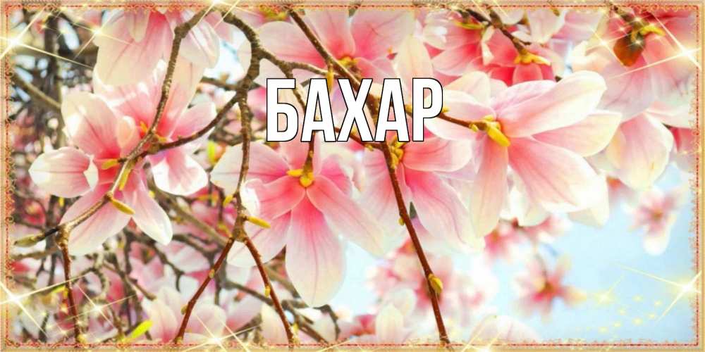 Открытка на каждый день с именем, Бахар Главная цветы деревьев на наурыз Прикольная открытка с пожеланием онлайн скачать бесплатно 