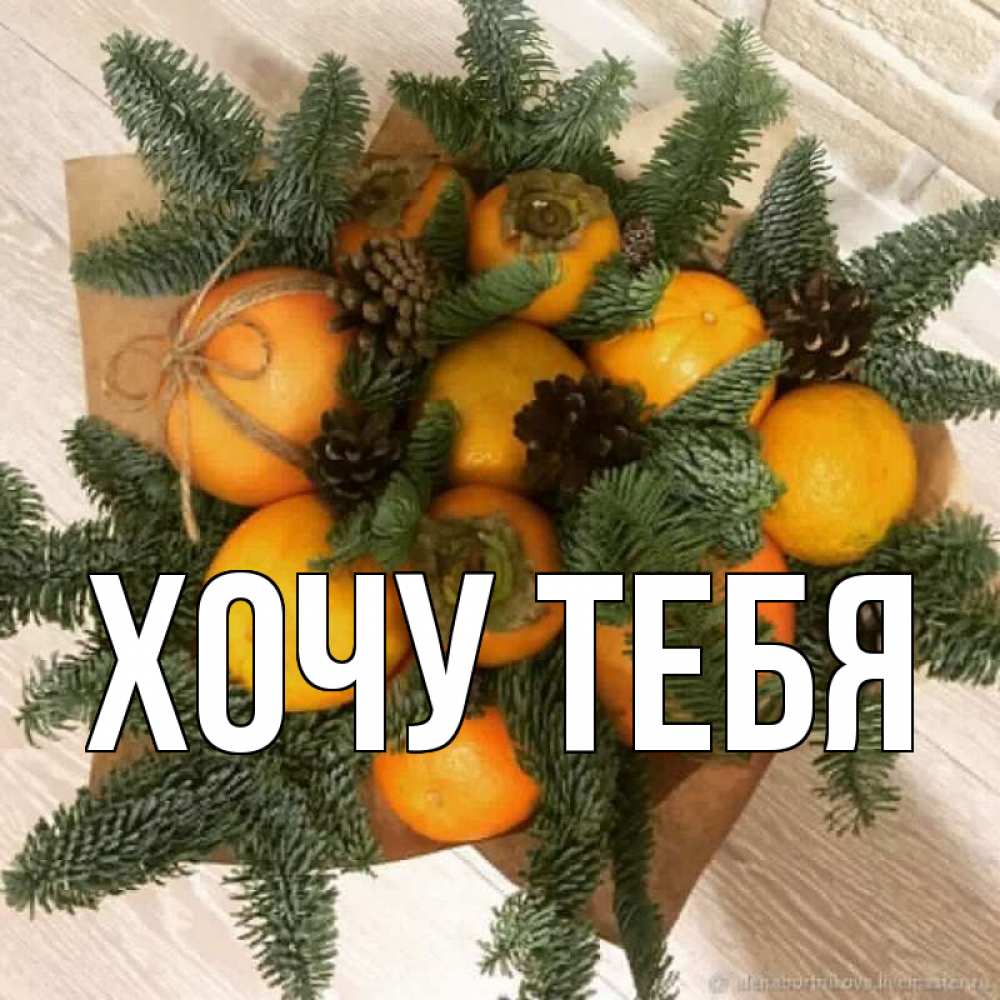 Открытка на каждый день с именем, Хочу-тебя Главная апельсины и хурьма Прикольная открытка с пожеланием онлайн скачать бесплатно 